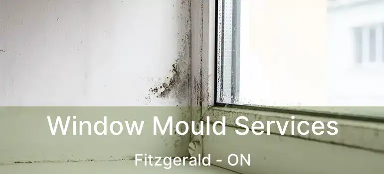  Window Mould Services Fitzgerald - ON