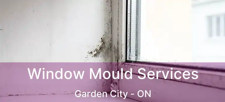  Window Mould Services Garden City - ON