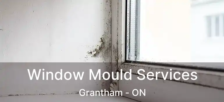  Window Mould Services Grantham - ON