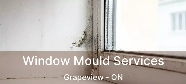  Window Mould Services Grapeview - ON