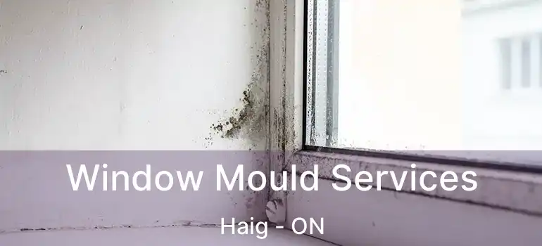  Window Mould Services Haig - ON
