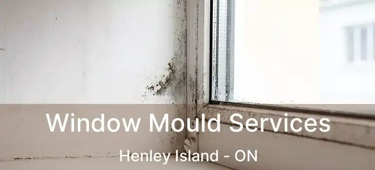 Window Mould Services Henley Island - ON