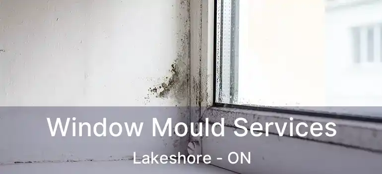  Window Mould Services Lakeshore - ON