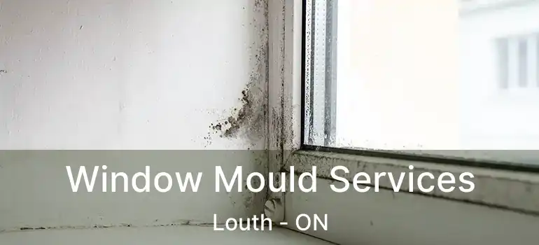  Window Mould Services Louth - ON