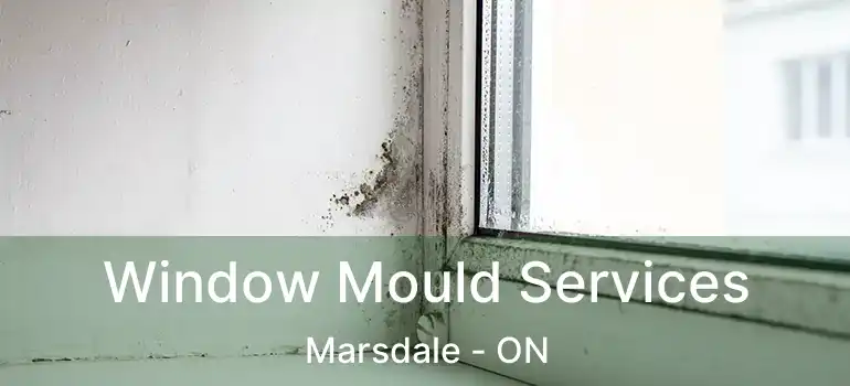 Window Mould Services Marsdale - ON