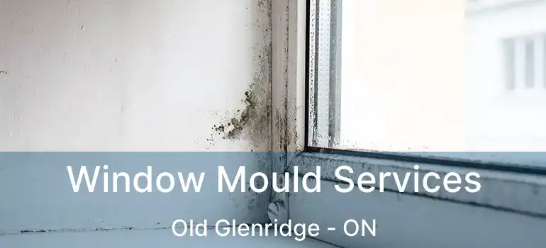  Window Mould Services Old Glenridge - ON