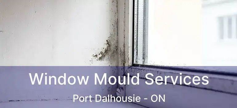 Window Mould Services Port Dalhousie - ON