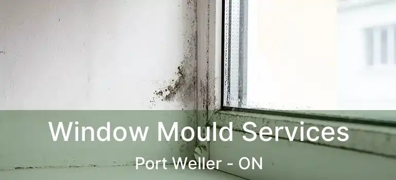  Window Mould Services Port Weller - ON