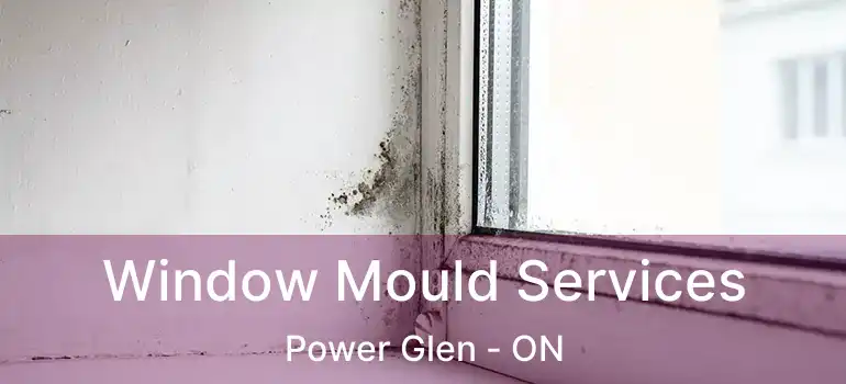  Window Mould Services Power Glen - ON