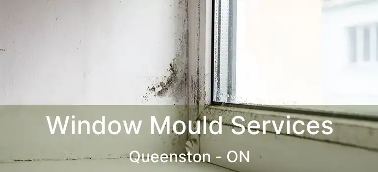  Window Mould Services Queenston - ON
