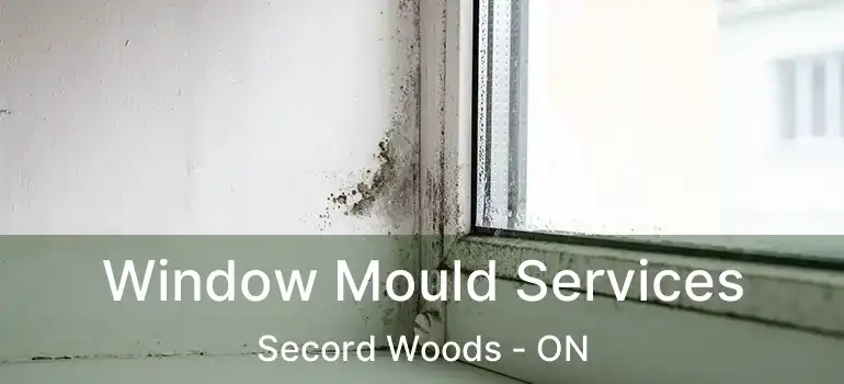  Window Mould Services Secord Woods - ON
