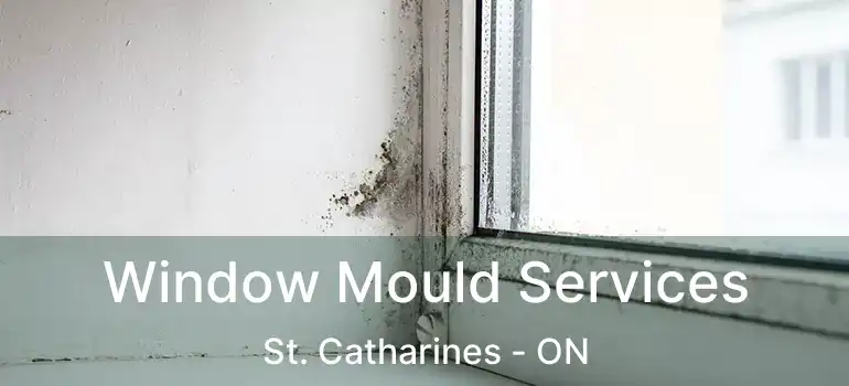  Window Mould Services St. Catharines - ON
