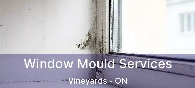  Window Mould Services Vineyards - ON