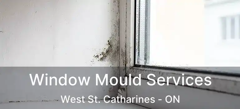  Window Mould Services West St. Catharines - ON