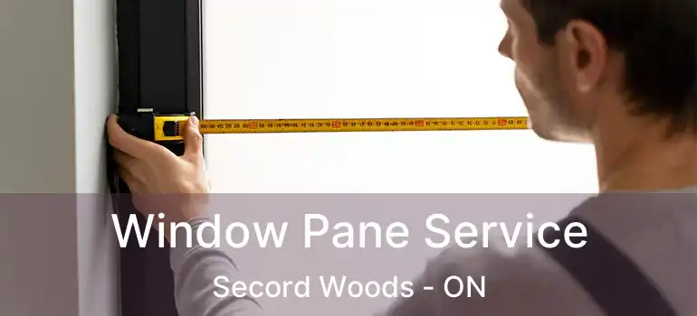  Window Pane Service Secord Woods - ON