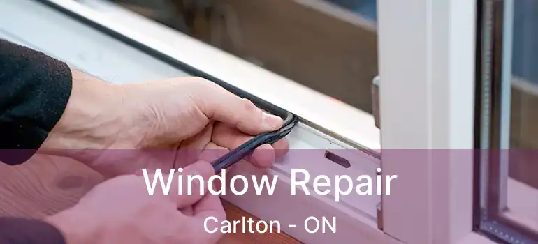  Window Repair Carlton - ON
