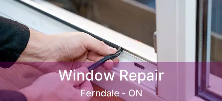 Window Repair Ferndale - ON