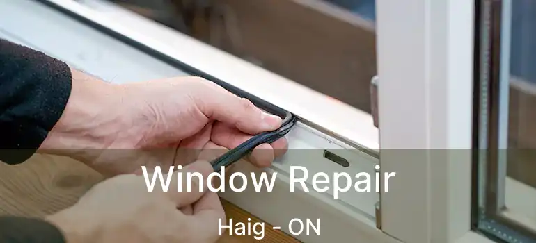 Window Repair Haig - ON