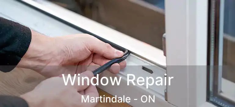 Window Repair Martindale - ON