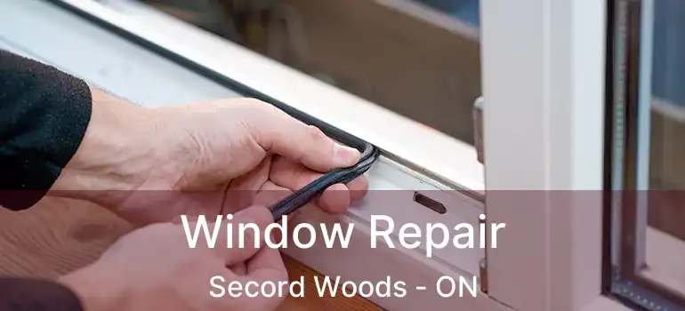  Window Repair Secord Woods - ON