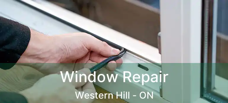  Window Repair Western Hill - ON