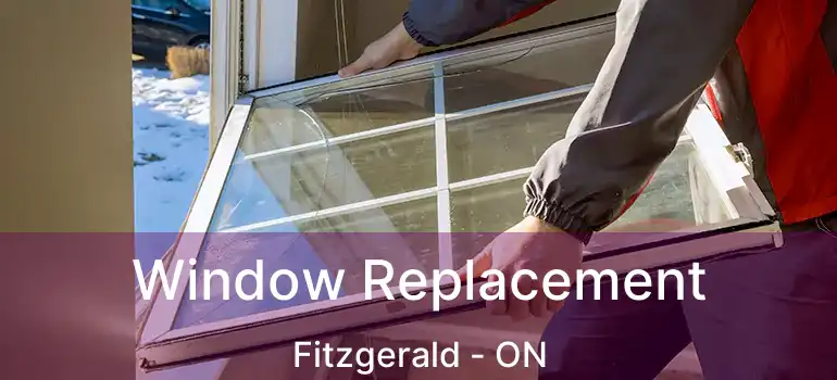  Window Replacement Fitzgerald - ON