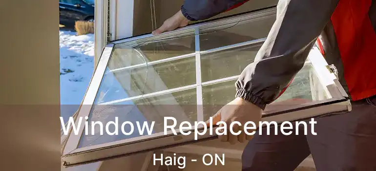  Window Replacement Haig - ON