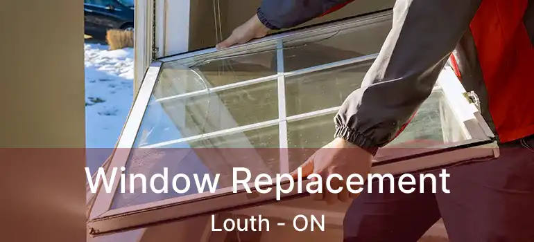  Window Replacement Louth - ON
