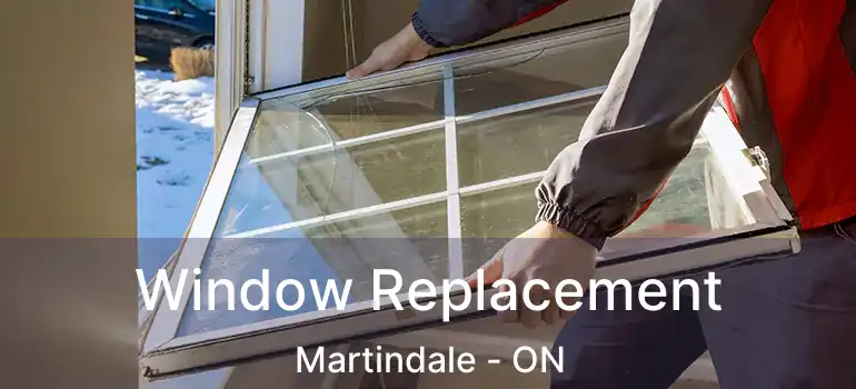  Window Replacement Martindale - ON
