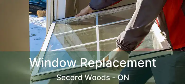  Window Replacement Secord Woods - ON