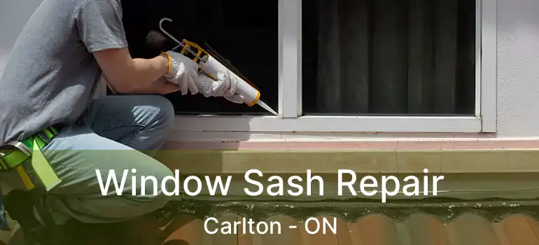 Window Sash Repair Carlton - ON