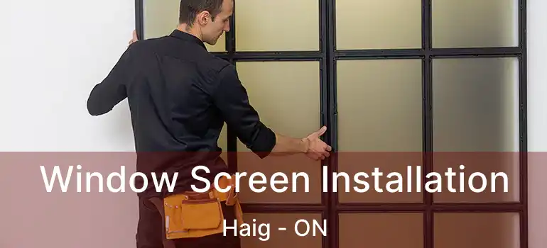 Window Screen Installation Haig - ON