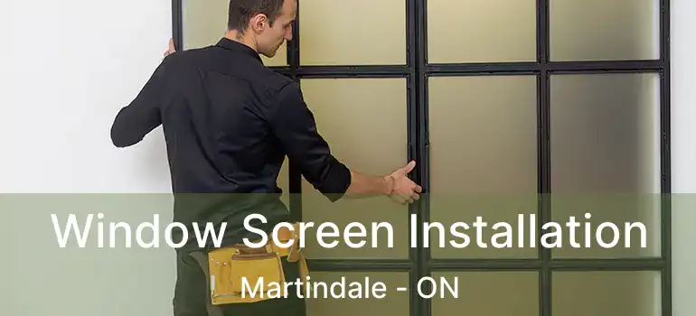 Window Screen Installation Martindale - ON