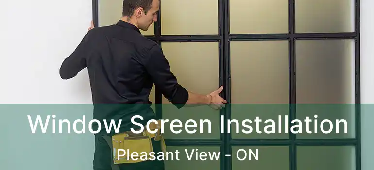  Window Screen Installation Pleasant View - ON