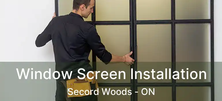 Window Screen Installation Secord Woods - ON