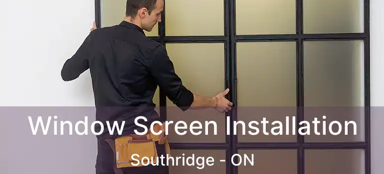 Window Screen Installation Southridge - ON