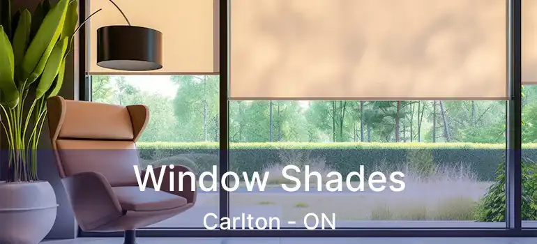 Window Shades Carlton - ON