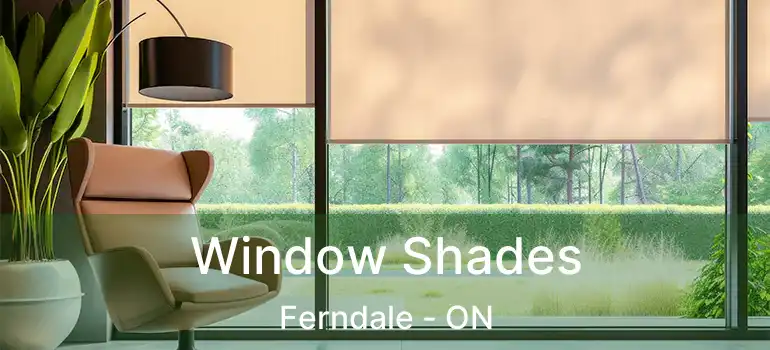  Window Shades Ferndale - ON