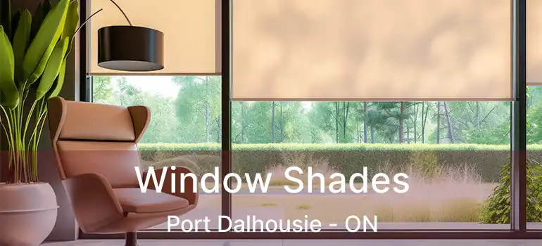 Window Shades Port Dalhousie - ON