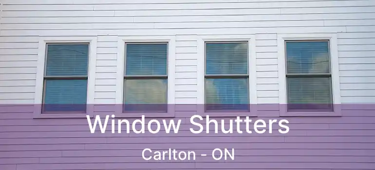  Window Shutters Carlton - ON