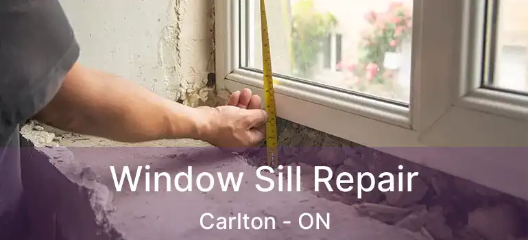 Window Sill Repair Carlton - ON