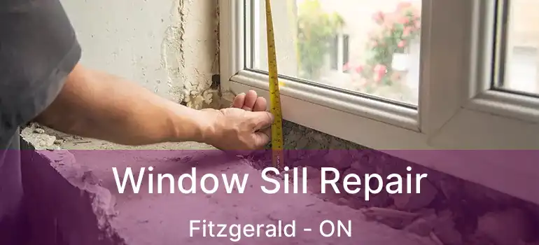  Window Sill Repair Fitzgerald - ON