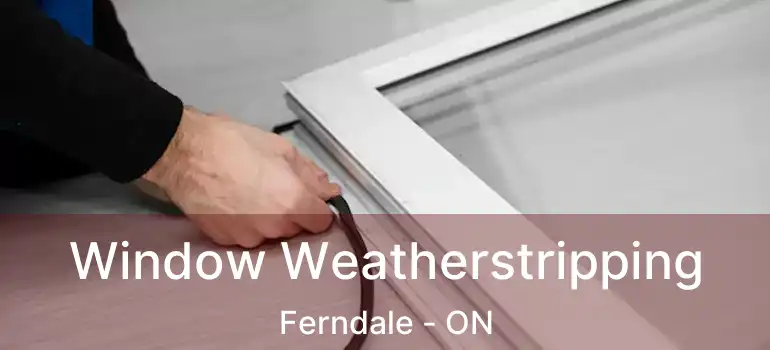  Window Weatherstripping Ferndale - ON