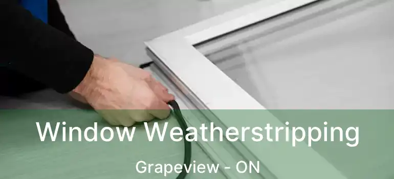  Window Weatherstripping Grapeview - ON