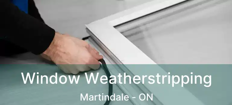  Window Weatherstripping Martindale - ON