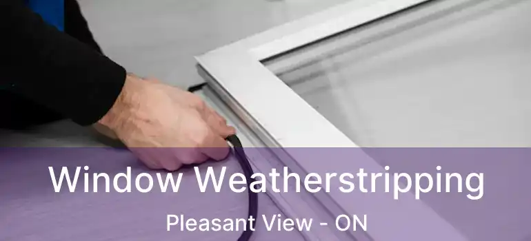 Window Weatherstripping Pleasant View - ON