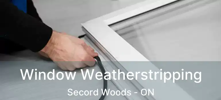 Window Weatherstripping Secord Woods - ON