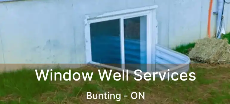  Window Well Services Bunting - ON