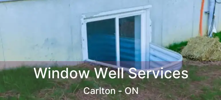  Window Well Services Carlton - ON