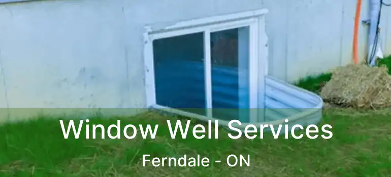  Window Well Services Ferndale - ON